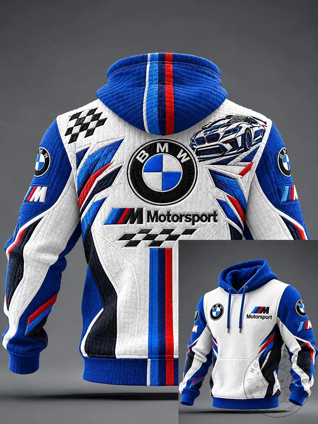 BMW Motorsport Racing Graphic Colorblock Hoodie